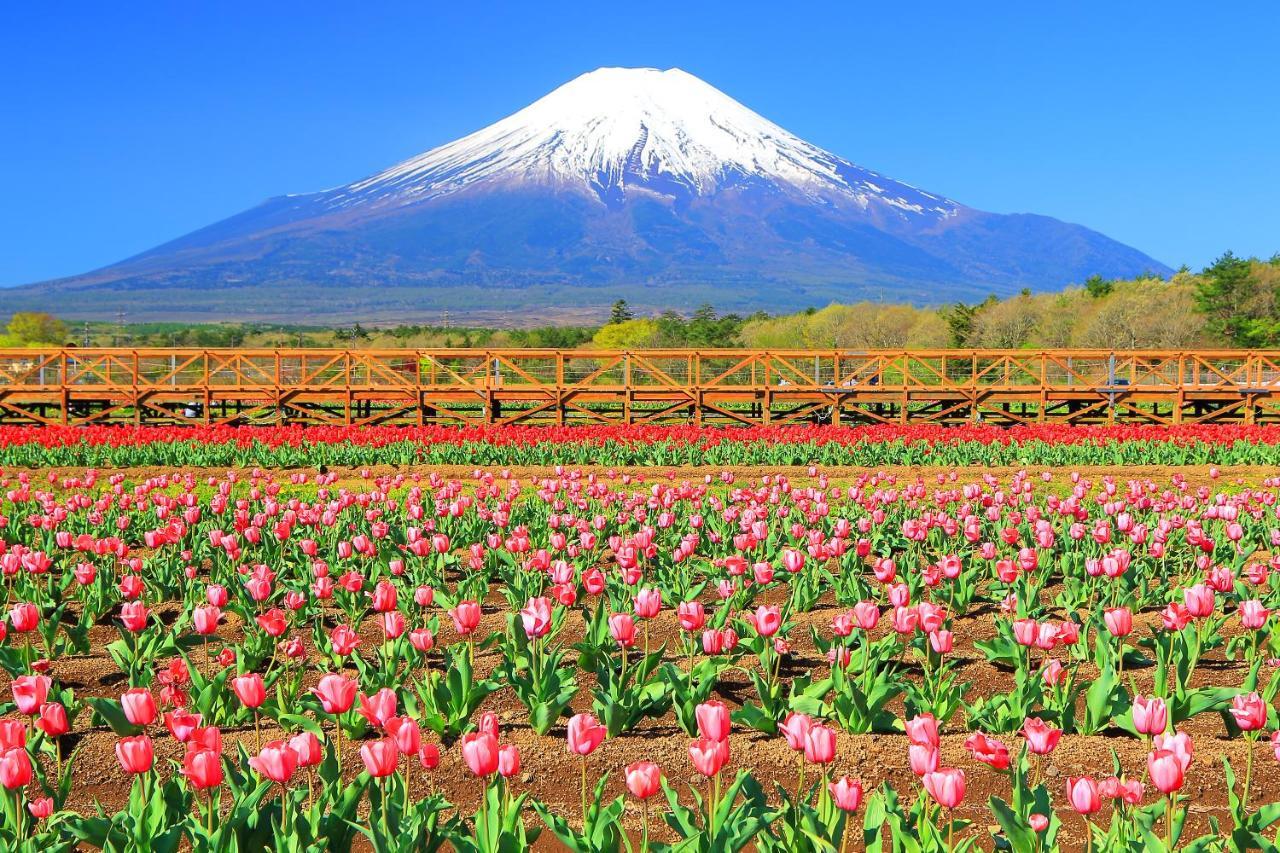 Hatago Ichiya Yamanakako Exterior foto